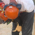 chainsaw carving