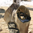 chainsaw sculptors