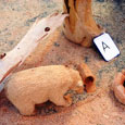 chainsaw carving competition