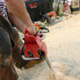 chainsaw competitions