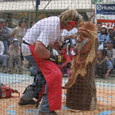 masters of the chainsaw