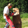 masters of the chainsaw