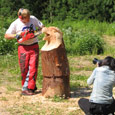 chainsaw competitions
