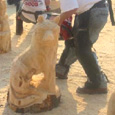 professional chainsaw artists