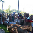 chainsaw art