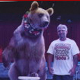 chainsaw carving competition