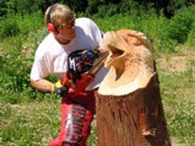chainsaw carving