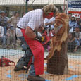 chainsaw carving competition