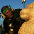 chainsaw carving masters