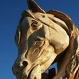 chainsaw carving masters