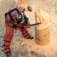chainsaw artists